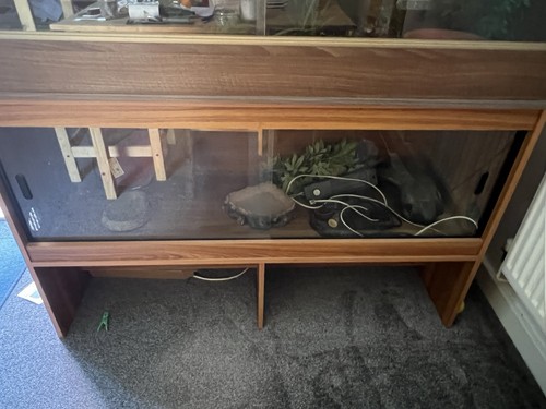 Vivarium habitat reptile - vivarium,