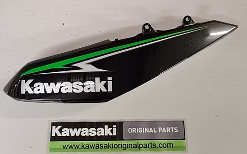 Genuine kawasaki z1000 2010 - kawasaki,