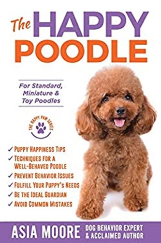 The happy poodle - poodle, :