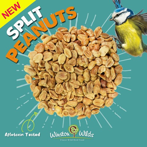 5kg wild bird - bird, peanuts