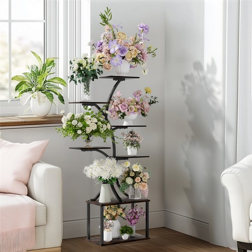 Unique shape indoor plant - unique,