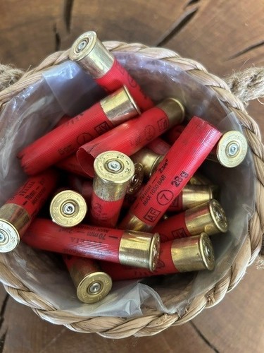 Spent shotgun cartridge cases - spent,
