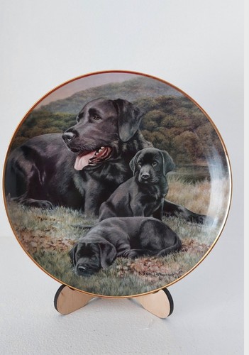Father pride and joy - and, vintage