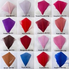 Stripped Coque Feather