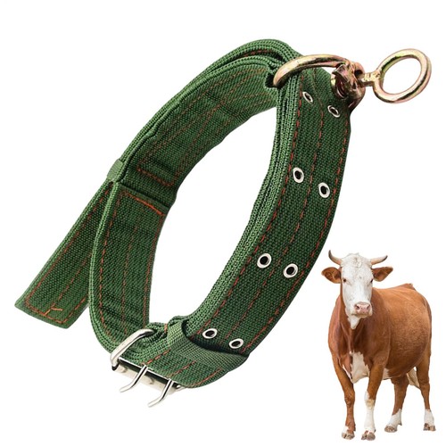 Goat collar horse sheep - horse,