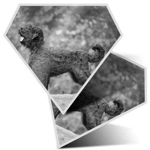 Diamond stickers cm bw - diamond,