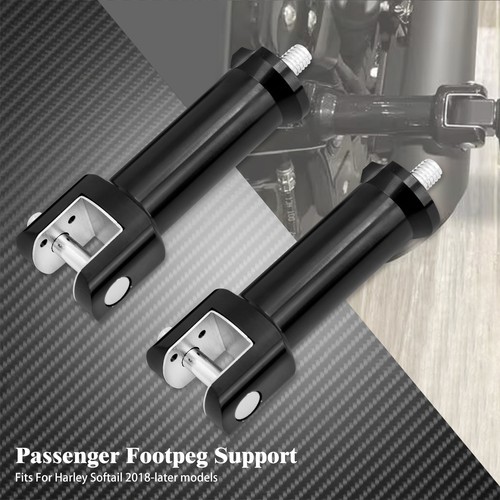 Pair passenger footpeg - passenger,