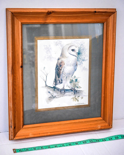 Barn owl print joel - , kirk