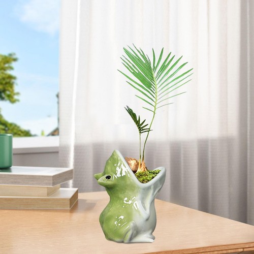 Cactus pot planter - cactus,