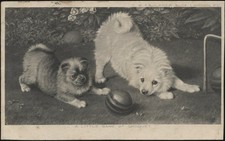 GB. Used C.W. Faulkner Postcard A Little Game of Croquet Undated