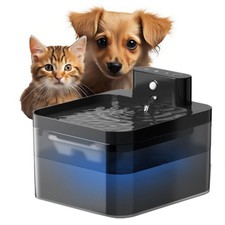 2.2 Electric Led Cat Dog