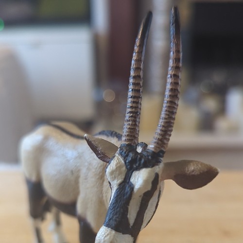 Plastic oryx gemsbok - plastic, antelope