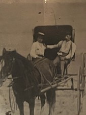 Antique Old West Tintype Horse