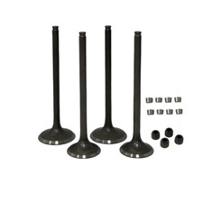 Inlet and Exhaust Valve Kit for Honda CRF250R 2004-2007 CRF250X