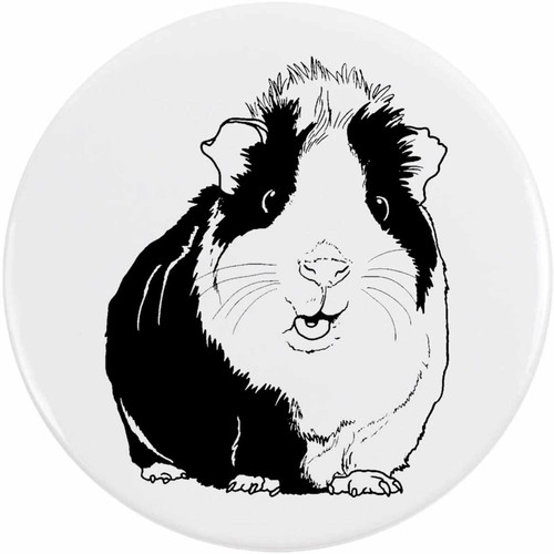 Guinea pig button lapel - 'guinea, /
