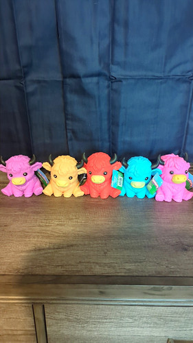 Lot multicolor highland - 5,