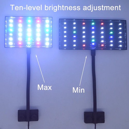 Usb aquarium fish tank - tank, led