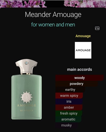 Amouage meander 100ml - meander, eau