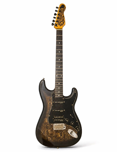 Stratocaster style paisley - style,