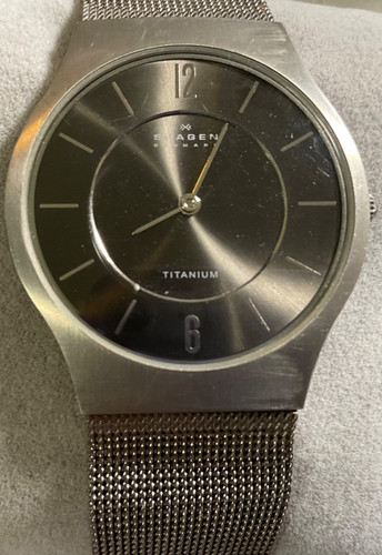 Skagen titanium mens 34mm - skagen,