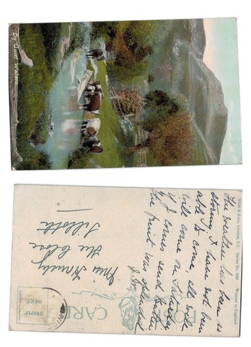 Vintage postcard by quiet - -,