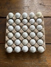 Titleist Pro V1 Used Golf