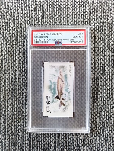 2025 topps allen ginter - 2025,