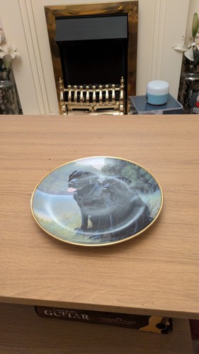 Franklin mint sporting - franklin,