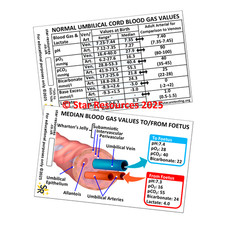 Umbilical Cord Blood Gas Values ID Badge Flash Card Nurse Maternity Midwife Stud