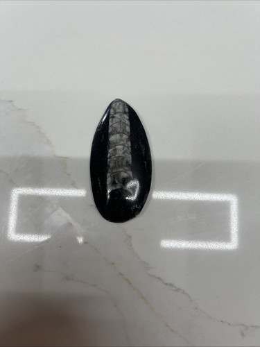 Small orthoceras fossil - small,