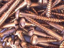 Woodscrews 2” x 14 pk 6 Brass Round Head Slotted Wood screw Nettlefolds GKN