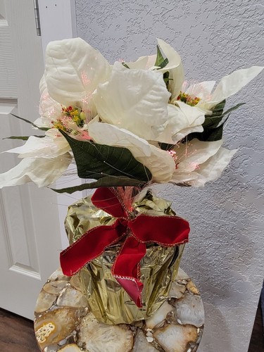 Fiber optic poinsettia plant - fiber,