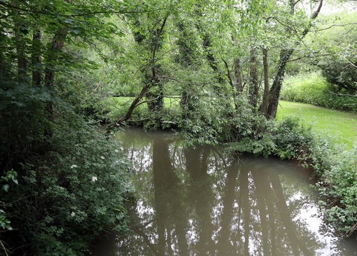 Photo cuckmere river near - photo,