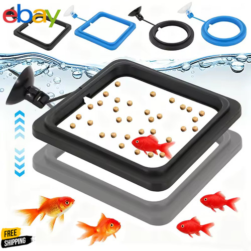 Fish feeding ring with suction - feeding,