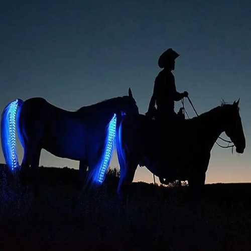 Led horse tail - led,
