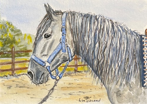 Aceo original gouache horse - aceo,