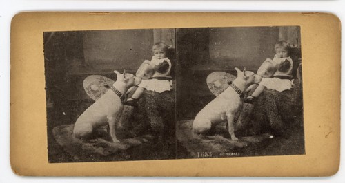 Stereoview stereoscope card - stereoview,