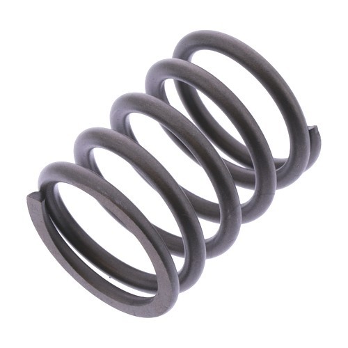 Valve spring 7471961 fits bmw - fits,