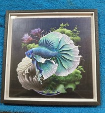 Black Framed Betta/ Siamese