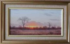 African sunset wim kosch - by,