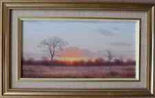 African Sunset by Wim Kosch South African Listed Artist Oil Painting on Board