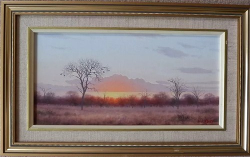 African sunset wim - sunset, by