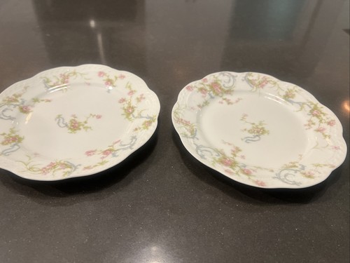 Set haviland limoges the - 2,