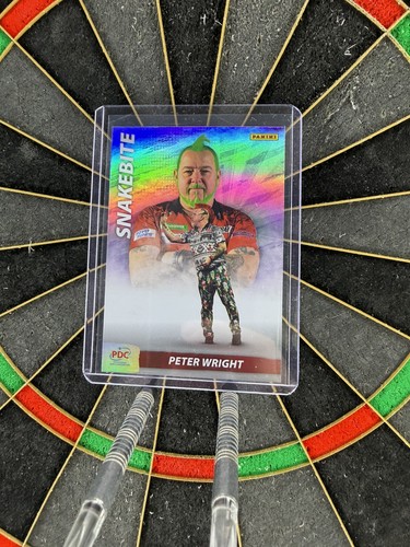 Panini 2024 pdc world - pdc,