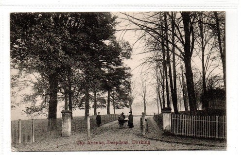 The avenue deepdene - the, deepdene,