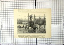 Original Old Antique Print