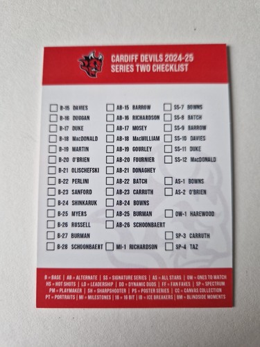 Cardiff devils blindside - cardiff,