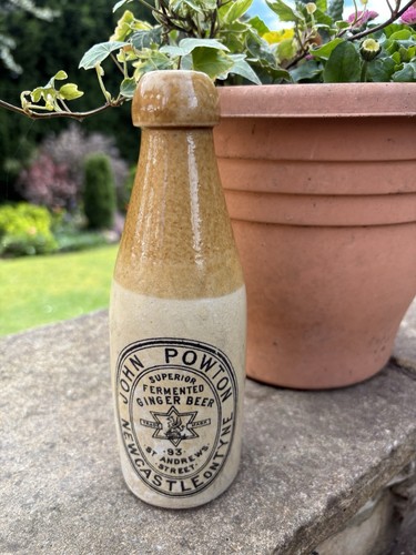 John powton fermented - john, ginger