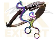 New Uk Expert Rainbow Dragon