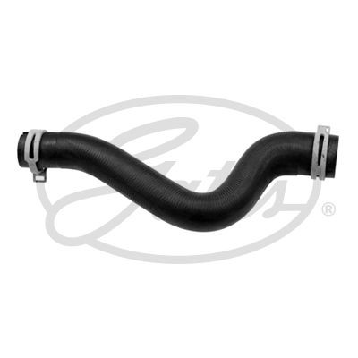 Gates radiator hose for - hose,